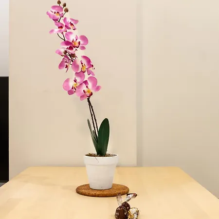 Noh Vatican Courtyard *